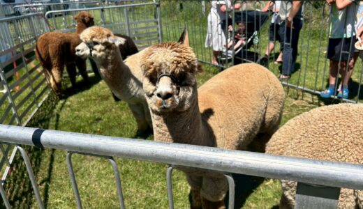 J3 NZ語学研修⑦